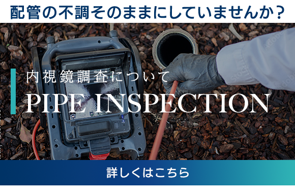 内視鏡調査について